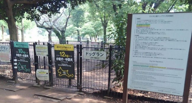 代々木公園ドッグラン