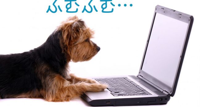 シリーズ｜【単純明快】ITにお金をかけたら収益アップできるの？失敗しない？