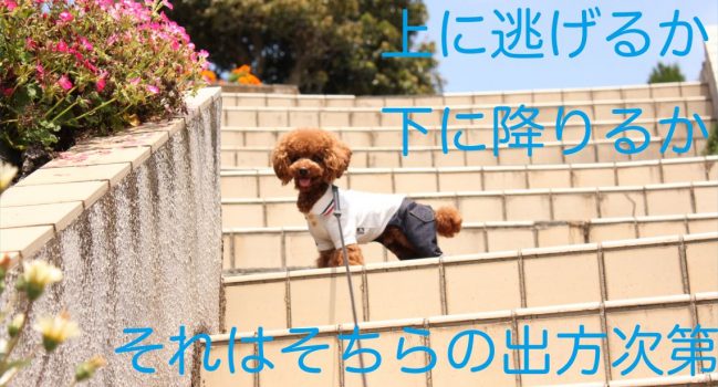 集客の仕方はお店それぞれ